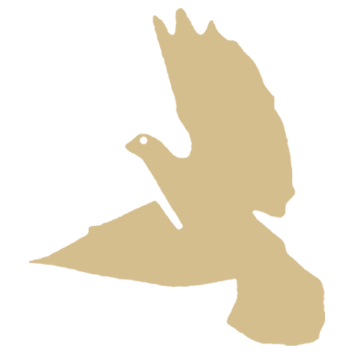 Favicon Dove